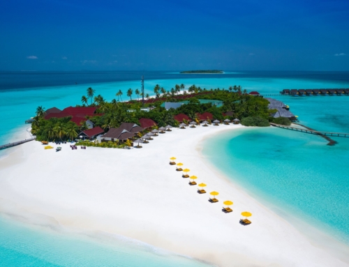 Dhigufaru Island Resort 5* Maldive